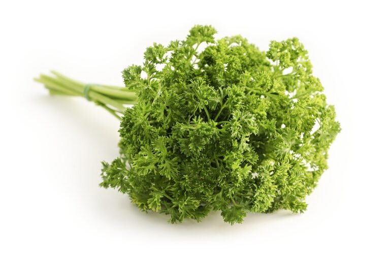 parsley-1665402_1280